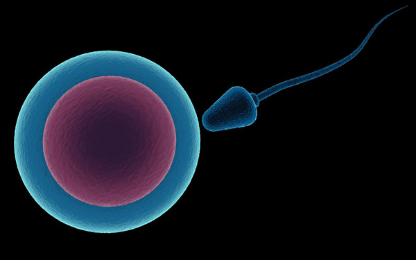 ÔÆ¶¥¹ú¼Ê¡¤(Öйú)Ψһ¹Ù·½ÍøÕ¾